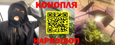 гидра Заволжье