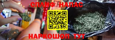 гидра Заволжье