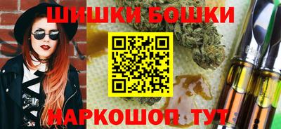 гидра Заводоуковск