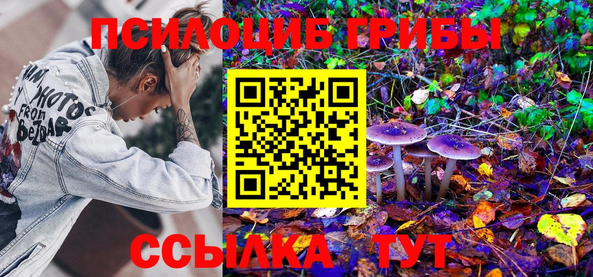 Псилоцибиновые грибы GOLDEN TEACHER Гусев