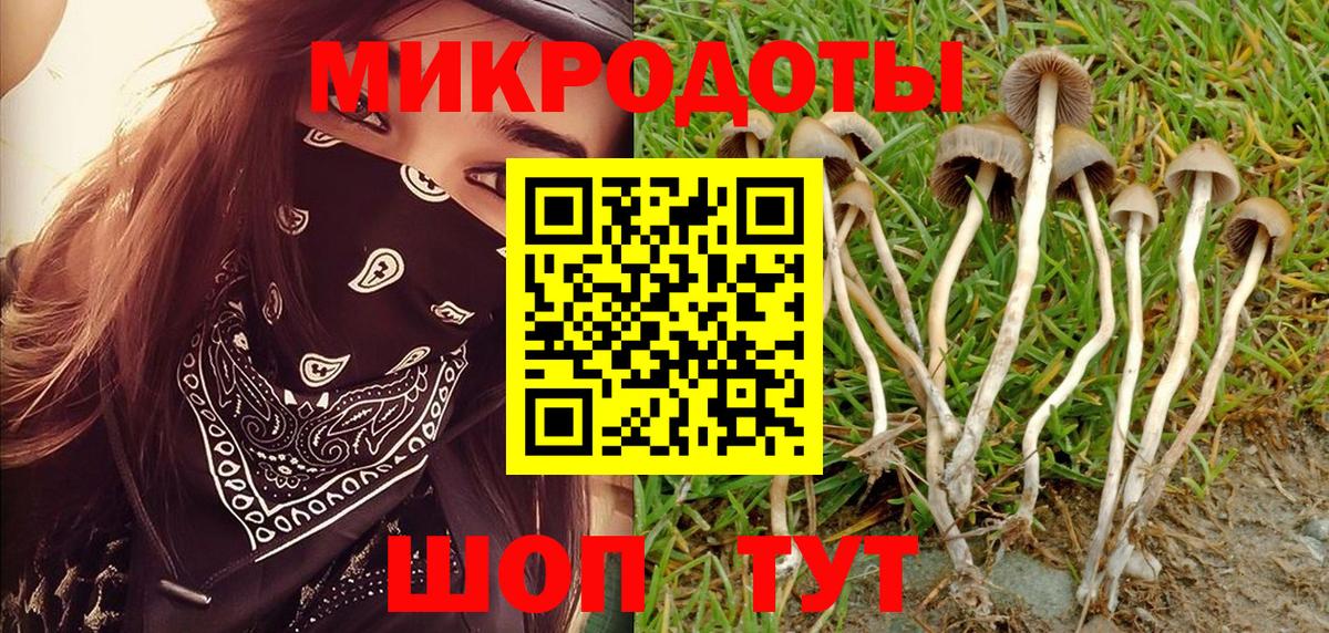 наркота  Вход с VPN  Гусев  Псилоцибиновые грибы мицелий  Псилоцибиновые грибы Psilocybe 
